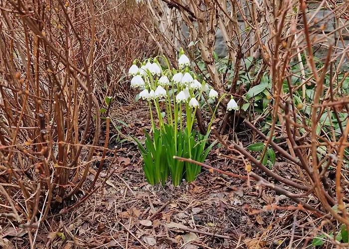 Hotel Wysoka Ze Sniadaniem